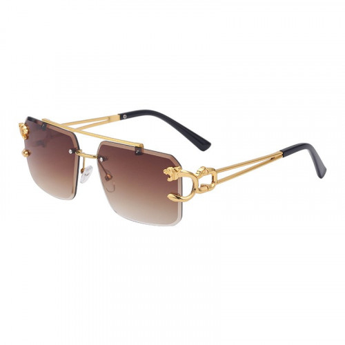 Women's Rimless And Trimmed Sunglasses